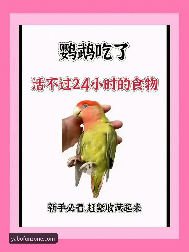 新手必看：亚博ag娱乐平台观赛兰道夫准绝杀教程式体验指南